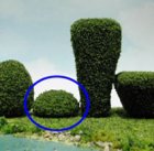 (image for) 2 Inch Round Bush / Tree 2pc