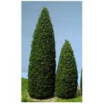 (image for) 2-1/2 Inch Tall Pine Trees 4pc