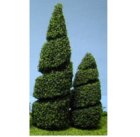 (image for) 4 Inch Tree Spiral 2pc