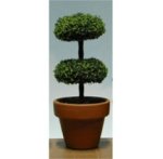 (image for) Green Topiary Plant w/ Clay Pot