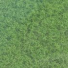 (image for) Turf Green Landcape Grass