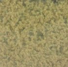 (image for) Coarse Turf Yellow Grass