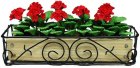 (image for) Red Geraniums in Scroll Iron Planter