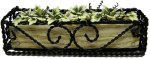 (image for) English Ivy in Braided Iron Planter