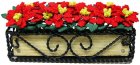 (image for) Deluxe Poinsettias in Braided Iron Planter