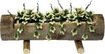 (image for) English Ivy in Log Planter