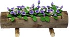 (image for) Purple Cupflowers in Log Planter