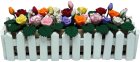 (image for) Assorted Roses in Picket Fence