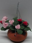 Hanging red and pink in clay Pot (image for) Hanging red and pink in clay Pot