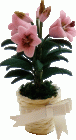 (image for) Pink Easter Lily in Basket w/ Bow