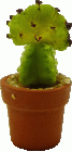 (image for) Unique Cactus in Pot