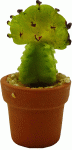 (image for) Unique Cactus in Pot