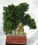 (image for) Bonsai Tree