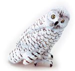 (image for) Snowy Owl