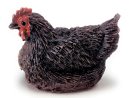 (image for) Sitting Brown Hen Chicken