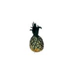 (image for) Pineapple