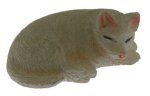 (image for) White Cat Sleeping