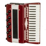 (image for) Accordion w/ Case