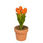 (image for) Tulips - Orange