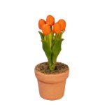 (image for) Tulips - Orange