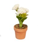 (image for) Potted Flowers - White