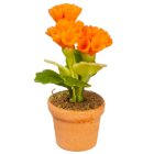 (image for) Potted Flowers - Orange