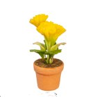 (image for) Potted Flowers - Yellow