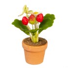 (image for) Potted Flowers - Red & White