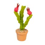 (image for) Potted Christmas Cactus - Red