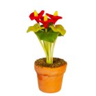 (image for) Potted Anthurium - Red & Yellow