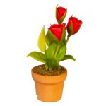 (image for) Potted Red Flowering Plant