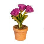 (image for) Potted Purple Carnations