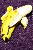 (image for) Peeled Miniature Banana