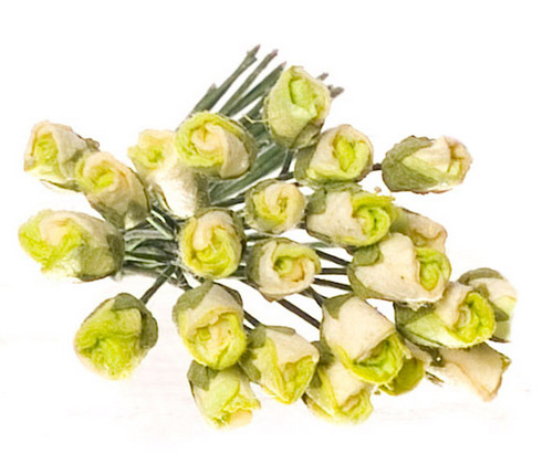 (image for) Roses Half Bloom Stems 24pc Green