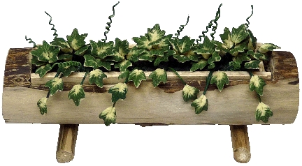 (image for) Ivy in Log Planter